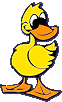 duck-footer